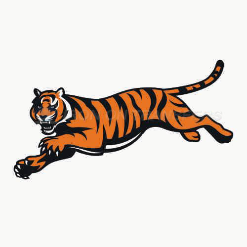 Cincinnati Bengals Iron-on Stickers (Heat Transfers)NO.475